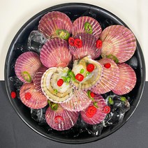 통영 앞바다 신선한 제철 홍가리비 1kg 2kg 3kg, 홍가리비 3kg