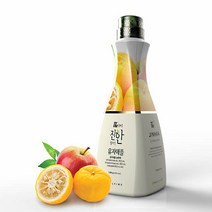더진한 유자애플 1.5kg 과일농축액 유자농축액 카페음료, 1개