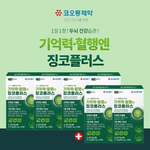 기억력 감퇴 뇌에 좋은 뇌혈관 집중력 영양제 혈관청소 징코플러스 은행잎추출물 징코빌로바 뇌 기능 생각 활성화 에 좋은 인지력 저하 혈행 개선 플라보놀배당체 징코 ginko 영양제, 4+2(6개월분), 1개