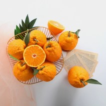 초록자연 제주 한라봉 3kg(10-12과) 가정용 고당도제주 한라봉 할라봉 레드향 황금향 감귤 제주귤 제주도귤 서귀포귤 천혜향 한라봉 카라향 신비향 천해향 천리, 본상품