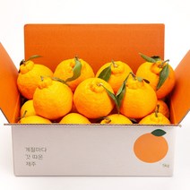깨비농원 제주 한라봉, 4.5kg(대과,10-15과), 1개
