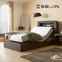 세진침대 테리아 LED 모션베드 프레임만S, 없음