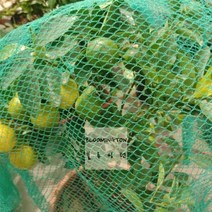 농작물 보호 그물 방조망 2x10m