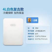 이동식 미니 냉온장고 차량용 냉장고 아이스박스 캠핑 차박 냉동고 가정용 소형 캐리어 쿨러, G.4L 화이트