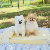 뭉밍 강아지 메모리폼 침대 고양이 방석 사계절 여름, 옐로우