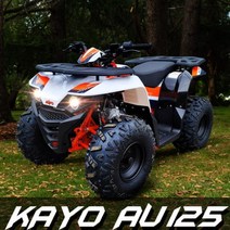 [충청ATV뱅크]KAYO AU125 카요 ATV 2WD 효도선물 최강연비 산악오토바이