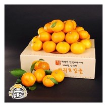서귀포 하례마을 노지감귤 3kg+3kg ( 2S/S/M 90과 내외)