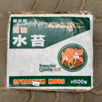[우야플랜트샵] 칠레산 고급수태 대용량 500g, 20개(10000g)