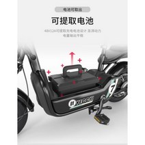 JSH 성인 전동차 전동 스쿠터 2인승 여성 조력 레저대보차 전기자전거, 로즈골드 주행거리50km 12A 납산배터리