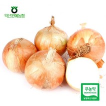 농협 무농약 양파 3kg/특/개당중량150g이상, 없음