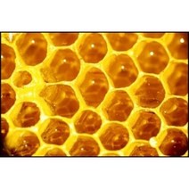 [허니솝] 추출물 모음 (수제비누 화장품 DIY재료), K130. 프로폴리스 추출물 100ml