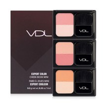아트박스/브이디엘 VDL브이디엘 엑스퍼트 (듀얼)컬러 치크북 미니 9.5g, NO.601