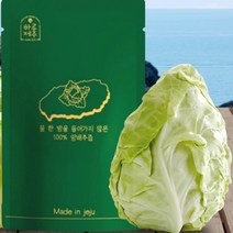 하루제주 고깔 양배추즙 80ml NFC 착즙공법 양배추 쥬스 주스, [선택1] 제주 고깔 양배추즙 30포
