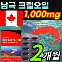 [캐나다 직수입] 100% 남극 크릴오일 58% 그릴오일 크린오일 새우오일 인지질 아스타잔틴 함유 krill 개별 ptp 포장 / 알약 케이스증정, 2개월 / 1개
