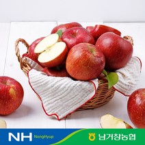 [남거창농협]달콤아삭 사과 5kg(소과)24-26과 내외, 단품