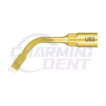 원더커터 초음파 커팅기치과 피에조 스케일러 초음파 뼈 수술 팁 삽입 US3/뼈 절단 piezosurgery Mectron, 01 1 pcs