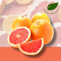 정아네식탁 신선한 레드자몽 중과 10과(개당330g내외), 단품