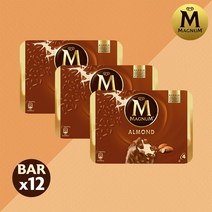 매그넘 아몬드팩 100mlx12개, 12개, 100ml