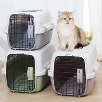 강아지 고양이 켄넬 케이지 이동가방 애견 이동장 더블도어 캐리어 기내용 항공, 그린(M)
