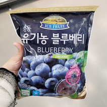 유기농 냉동블루베리 (700g／봉) x 1개, 종이박스포장