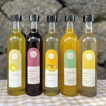 유진팡 제주산 발효 과일청 300ml, 제주산 바나나청