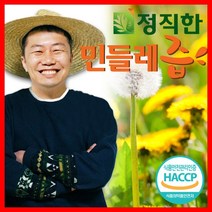 정직한건강즙 국내산 흰민들레즙 110ml, 90포, 90개