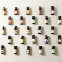 더아로마샵 천연 내추럴 에센셜 오일 10ml 유칼립투스 프랑킨센스 제라늄 페퍼민트 비염에좋은오일, 23. [프리미엄] 베티버 10ml x 1개