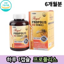 로얄 프로폴리스 180캡슐 캐나다 직수입