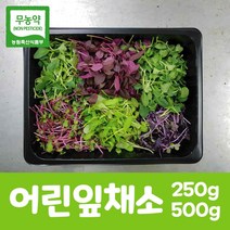 기타 초록이슬새싹/새싹모듬300g/어린잎채소300g/아이순50g/삼순이40g/청무순30g/무공해식품/무농약, 단품없음