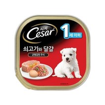 유산균함유 고기습식캔 애견간식 24개 수유견 싱글족, 쇠고기와치즈