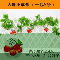 복도 장식 그린 등나무 페이크 덩쿨 라탄 심플 비닐 플라워 컬러 펀텐트 전시장 녹색 식물 트로피칼 2622582227, M51 대엽 애고추 1가방