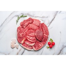 1++한우 모듬한판 소고기 투쁠 특수부위 꽃등심 채끝 안심 살치 600g 800g, 프리미엄한판800g