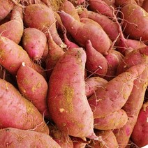 [산지직송] 해남 햇 고구마 꿀 밤 베니하루카 5kg 3kg 10kg, 해남 꿀고구마 한입 3kg