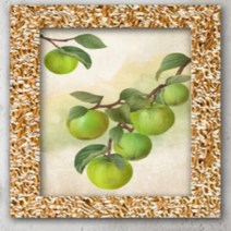 리치 푸른사과그림 사과그림액자 rWvgd2
