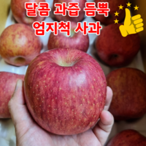 고당도 15브릭스 부사 사과 10kg 거창 경북 안동사과 선물용, 특정품부사 / 10kg / 중과 30-40과