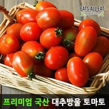 이츠올릿 대추 방울 토마토 1.5kg 못난이 단 찰 토마토, 찰 토마토 5kg (2번), 1개