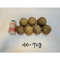 23년 신선한 햇감자 3kg 5kg 10kg, 5kg중(40~70g)