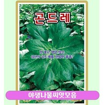 야생나물씨앗모음, 6. 곤드레   100립, 1개