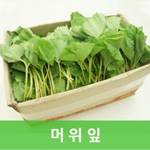 머위잎4kg 알카리성식품 웰빙푸드, 4kg, 1개