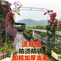 대문아치 가든 아치 게이트 대문 포도나무 터널 펜스, 중간, 화이트 3.15mx2.2m(폭x높이)