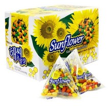 해씨 초콜릿, 20g, 5개