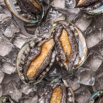 산지직송 진도전복 진도 활전복 산소 포장, 1kg (30-40미) 꼬마전복, 1개