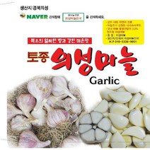 2023년도 마늘 통마늘 한지형 의성마늘 햇마늘 +10톨 덤, 1개, 의성씨마늘 상품3kg 80-100개