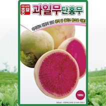 과일무씨 100립 아삭하고 단맛 생식 샐러드용 이용 무씨앗 종자 채소씨앗, 단품