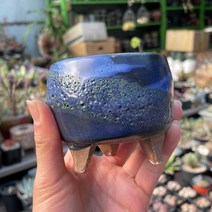 예운분: 원형분 소형2, 08.남색