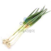 흙대파 (1KG)