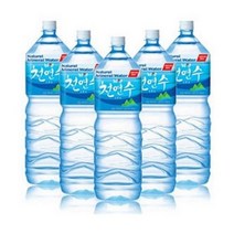 [정원] 천연수 500ml x 20입, 2개