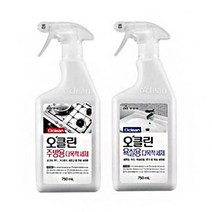 주방환풍기청소 인덕션 가스렌지후드청소 친환경 다목적 클리너, 욕실용