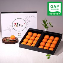 감좋은날 청도 반건시 곶감 선물세트, 2박스, 2640g(24입) 특대자