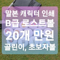 메이저브랜드 로스트볼 B급 로스트볼 20알 1세트 말본 캐릭터 프린팅 골린이 초보자 골프공, 스릭슨